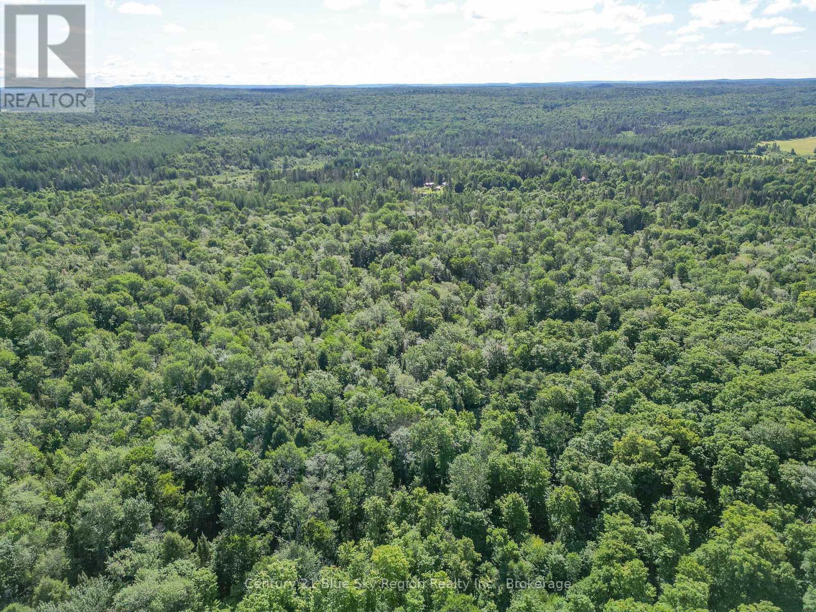 Lot 184 Alsace Road, Nipissing, Ontario  P0H 1W0 - Photo 8 - X13030328