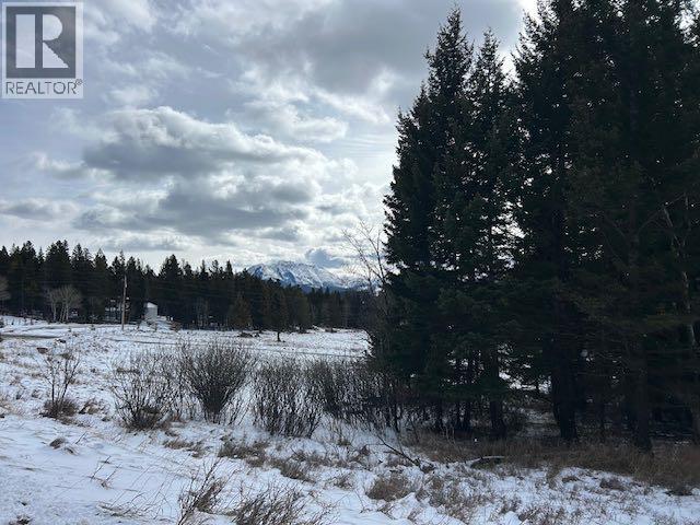 #8, 6308 25 Avenue, Coleman, Alberta  T0K 0M0 - Photo 13 - A2293351