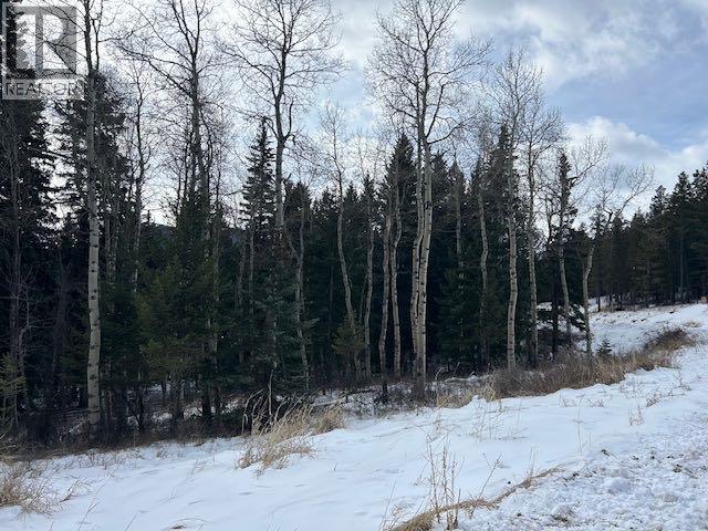 #8, 6308 25 Avenue, Coleman, Alberta  T0K 0M0 - Photo 9 - A2293351