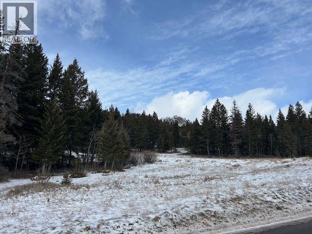 #8, 6308 25 Avenue, Coleman, Alberta  T0K 0M0 - Photo 6 - A2293351