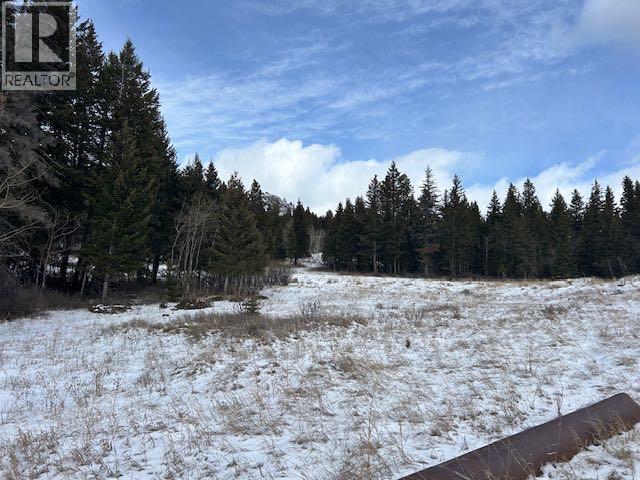 #8, 6308 25 Avenue, Coleman, Alberta  T0K 0M0 - Photo 18 - A2293351