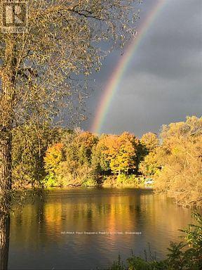 22 - 59 King Street E, Blue Mountains, Ontario  N0H 2P0 - Photo 44 - X13030566