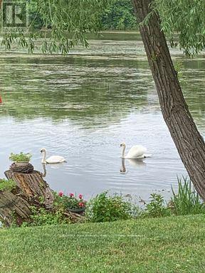 22 - 59 King Street E, Blue Mountains, Ontario  N0H 2P0 - Photo 46 - X13030566