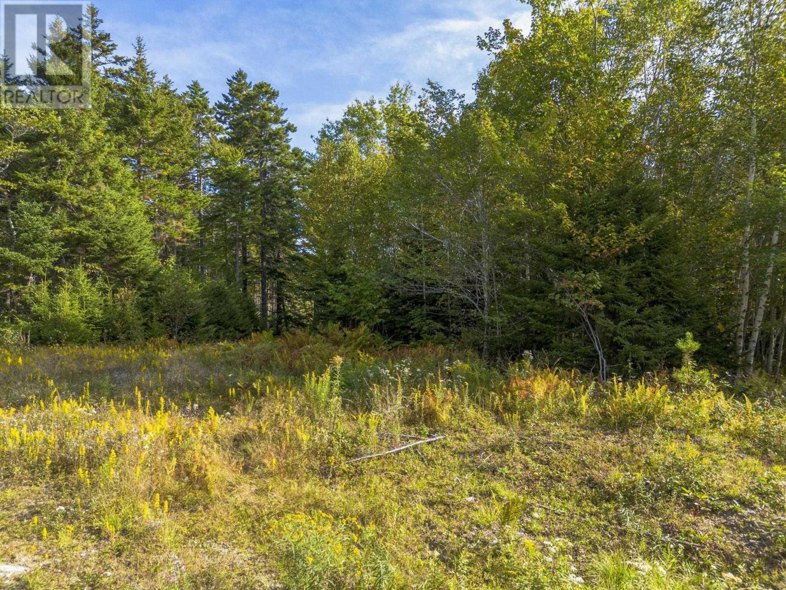 Lot 3 Chandlers Way, Hectanooga, Nova Scotia  B0W 1L0 - Photo 2 - 202524059