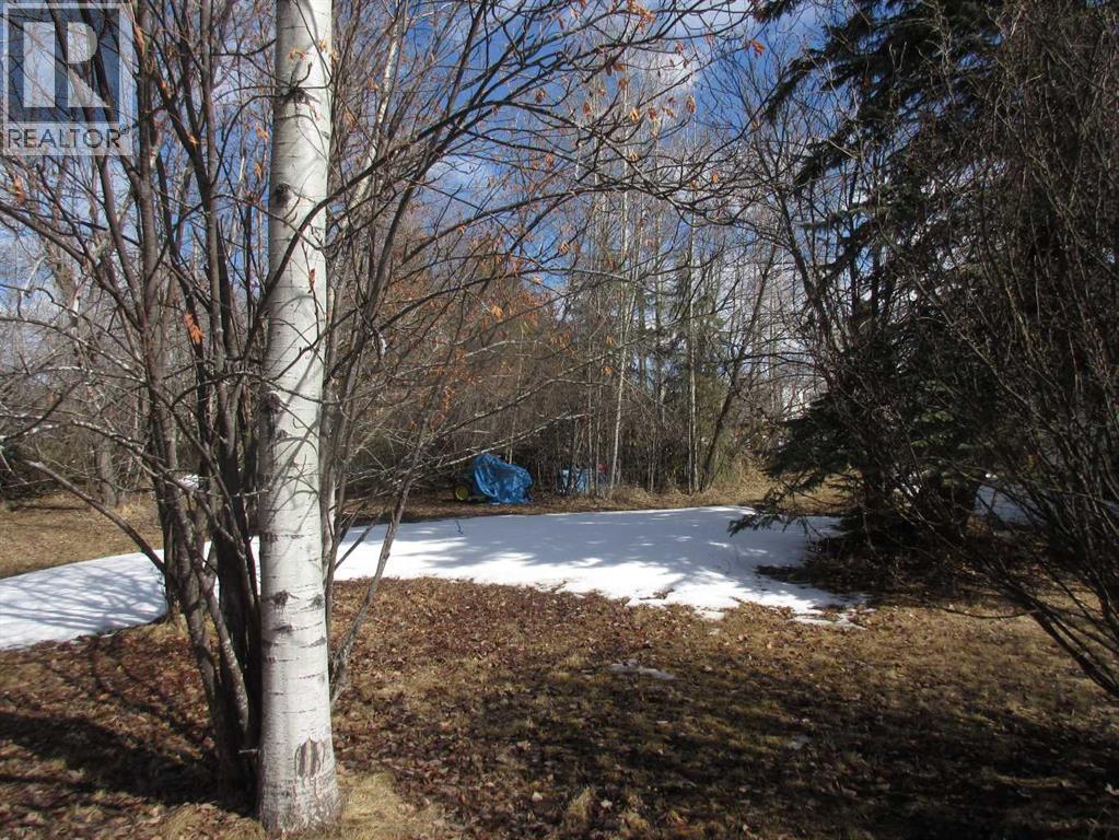 71037 Township Road 39-3, Rural Clearwater County, Alberta  T0M 0C0 - Photo 7 - A2300202