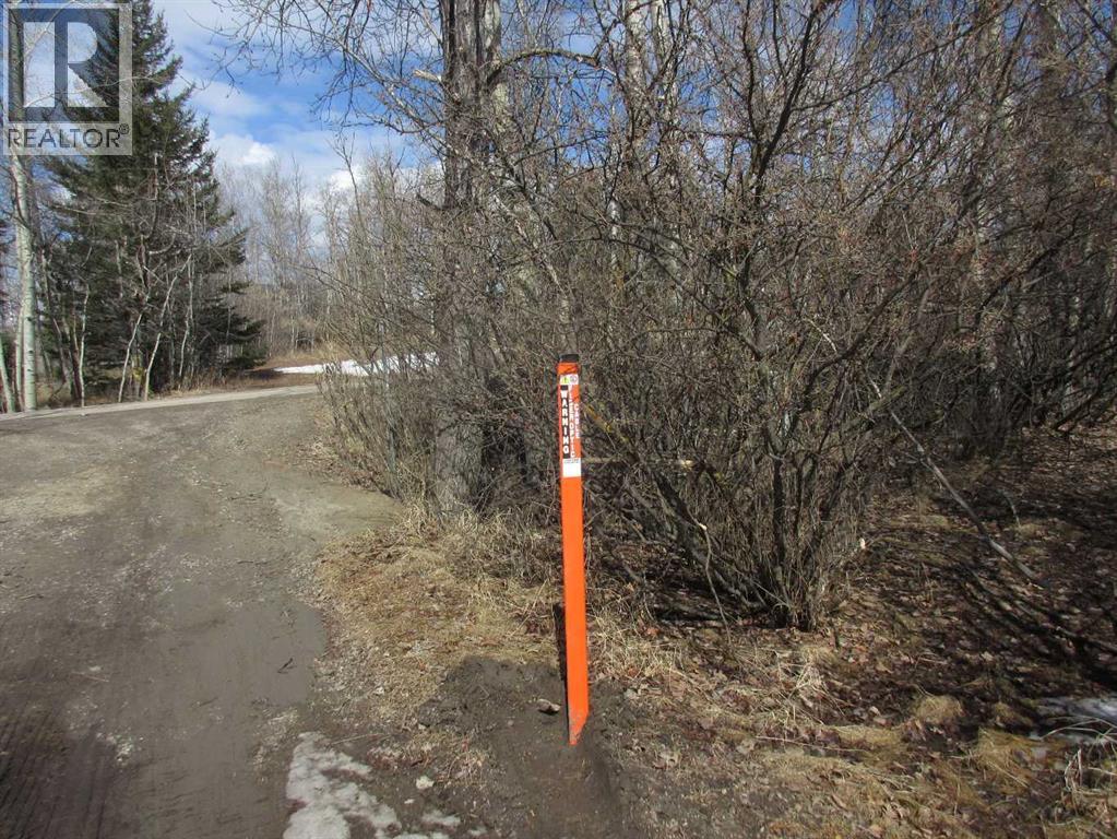 71037 Township Road 39-3, Rural Clearwater County, Alberta  T0M 0C0 - Photo 9 - A2300202