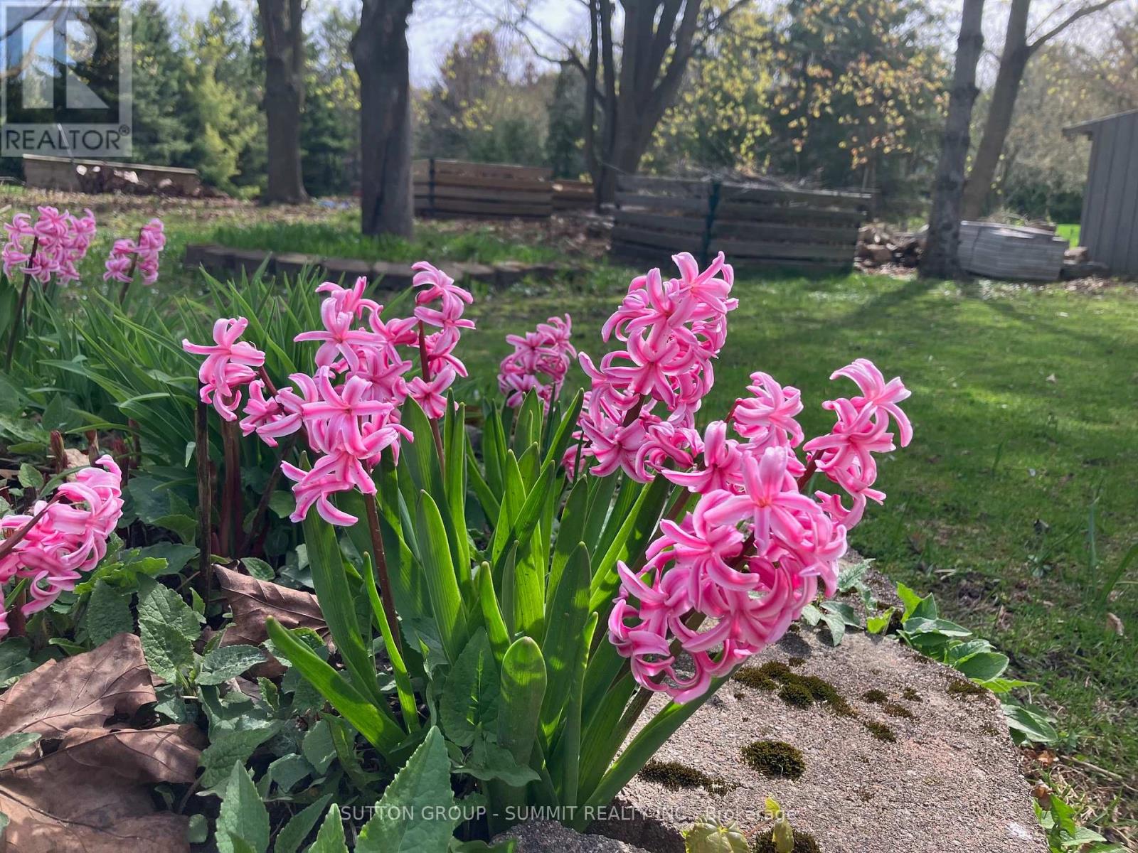 39 Cutting Crescent, King, Ontario  L7B 0E6 - Photo 45 - N13030396