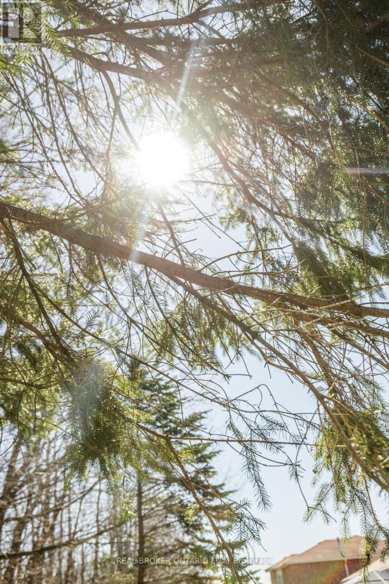 65 Benson Drive, Barrie, Ontario  L4N 7Y2 - Photo 47 - S13030578