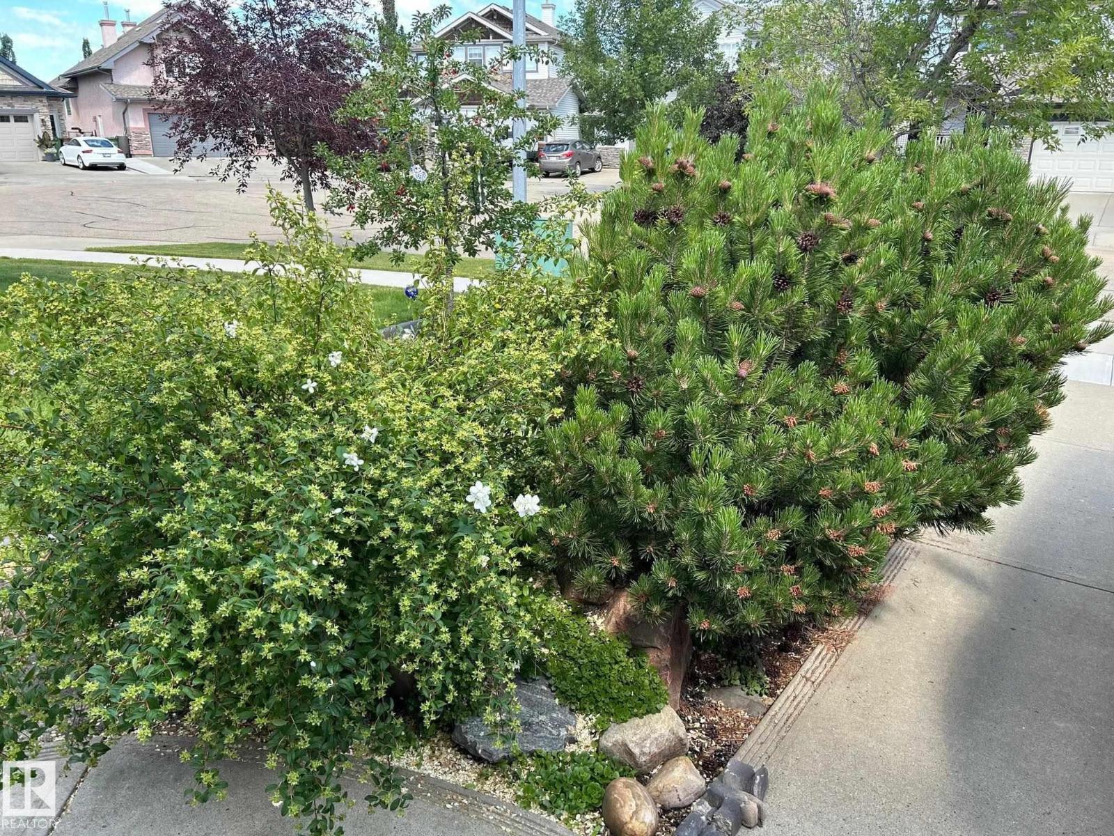 13 Newbury Co, St. Albert, Alberta  T8N 7C1 - Photo 54 - E4482881