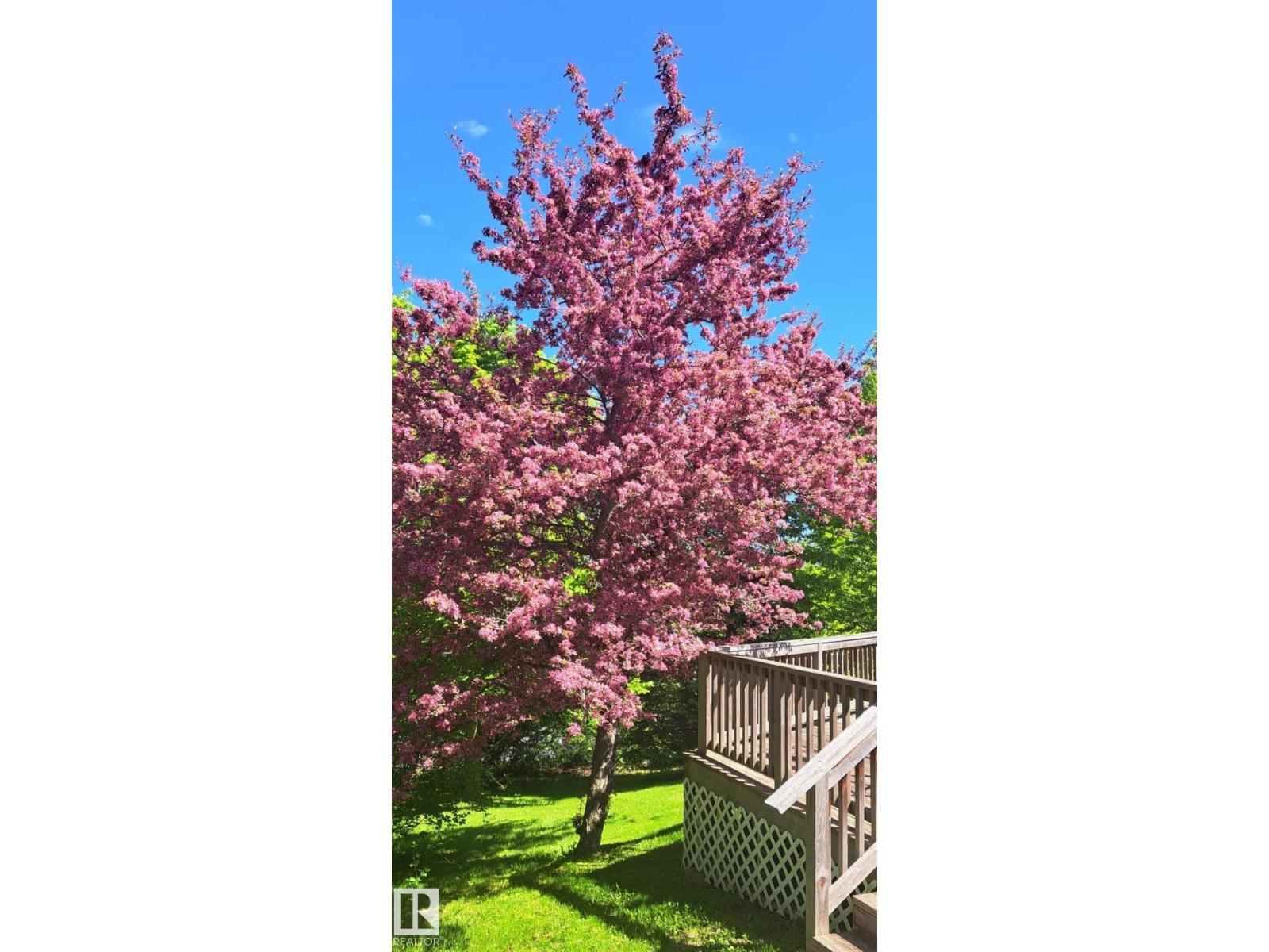 4 Placer Cl, St. Albert, Alberta  T8N 6A2 - Photo 50 - E4481263