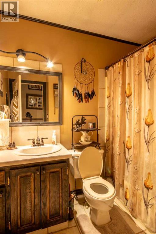 128 10 Avenue NE, Sundre, Alberta  T0M 1X0 - Photo 14 - A2277995