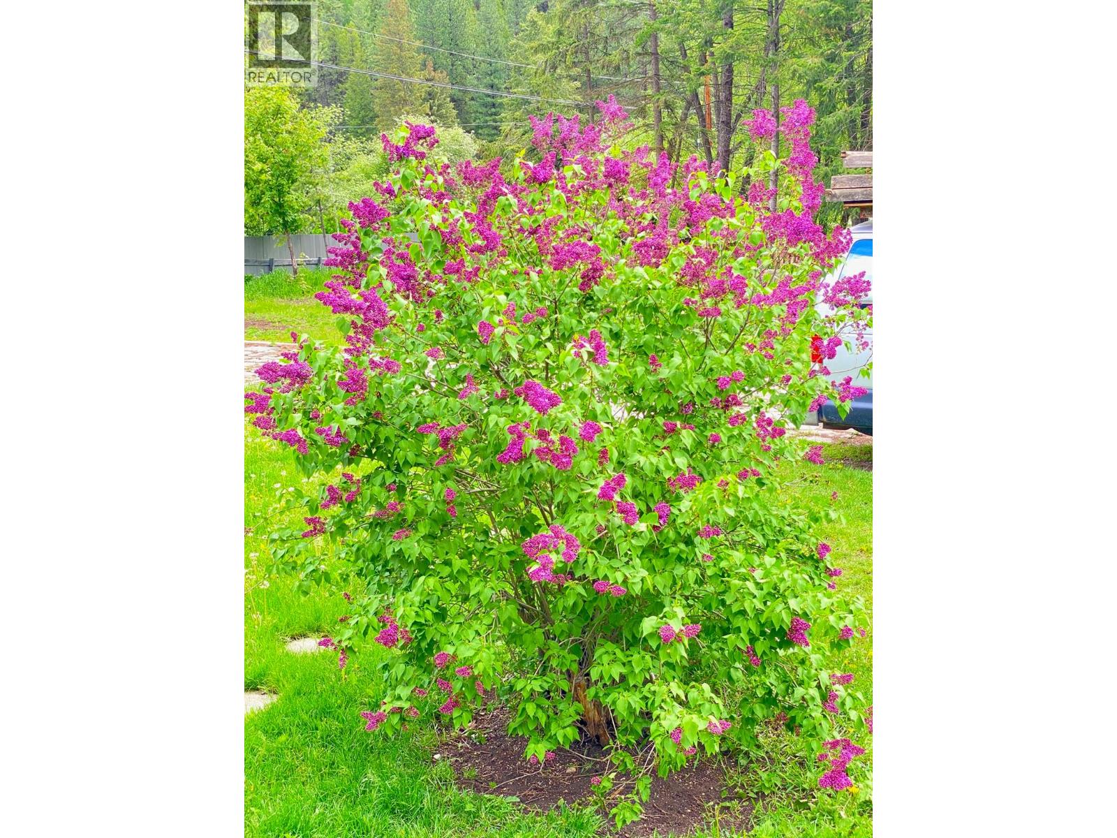 20 Wallace Mountain Road, Beaverdell, British Columbia  V0H 1A0 - Photo 12 - 10378526