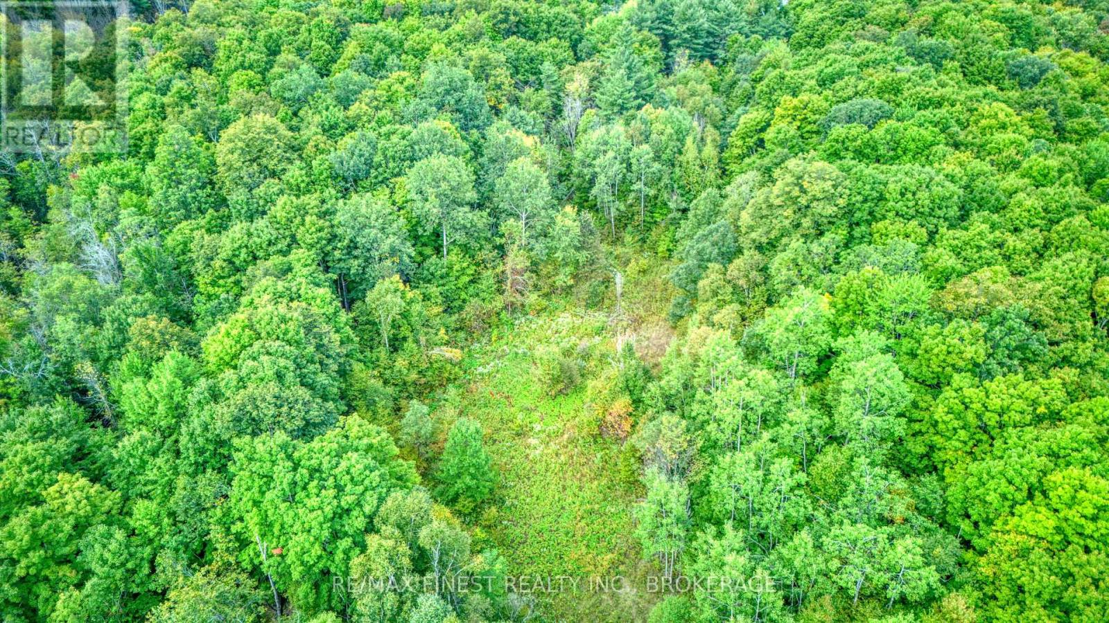 0 Armstrong Line, Tay Valley, Ontario  K0H 2B0 - Photo 3 - X13024798
