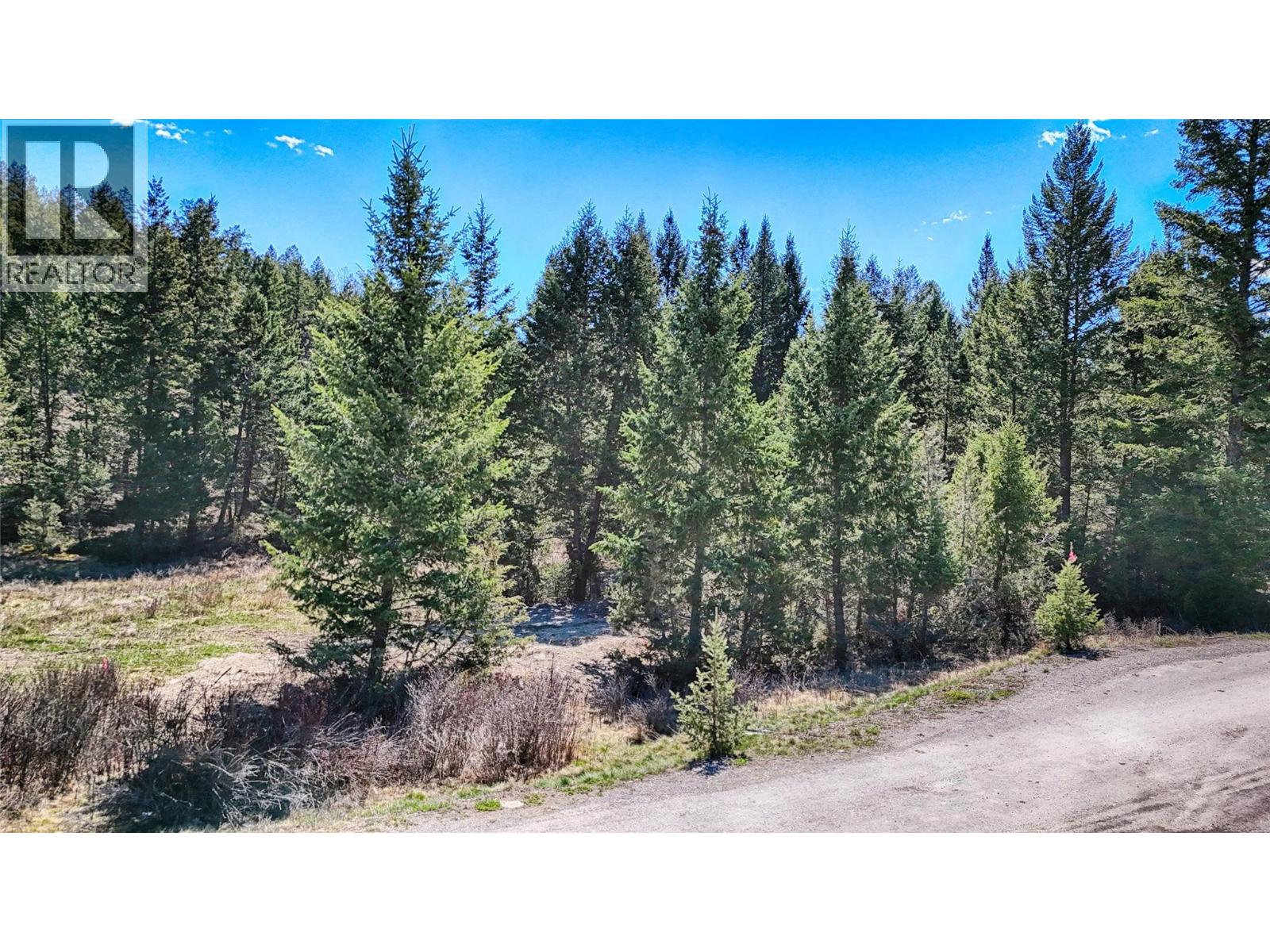 Lot 44 Cooper Road, Windermere, British Columbia  V0B 2L0 - Photo 5 - 10384168