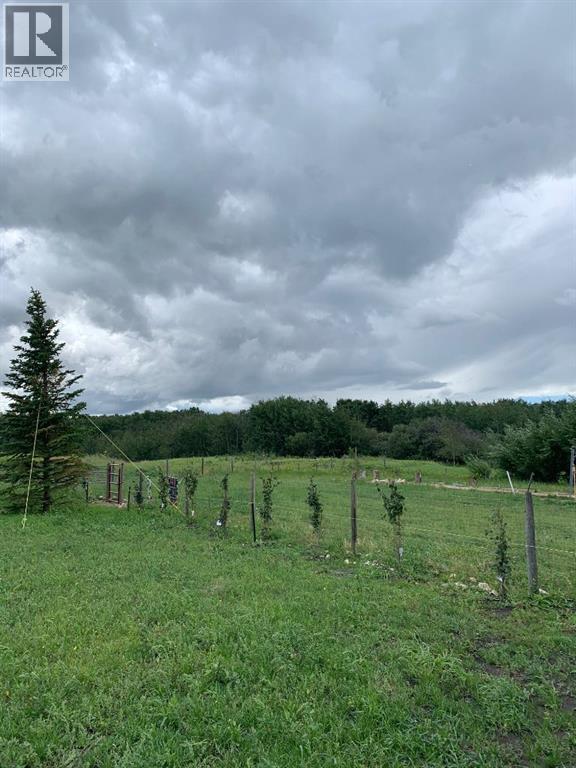 15 Ranch Road, White Sands, Alberta  T0C 2L0 - Photo 13 - A2290068