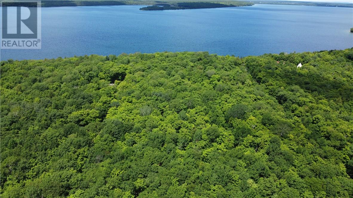 1580 Perivale, Mindemoya, Ontario  P0P 2B0 - Photo 1 - 2127268