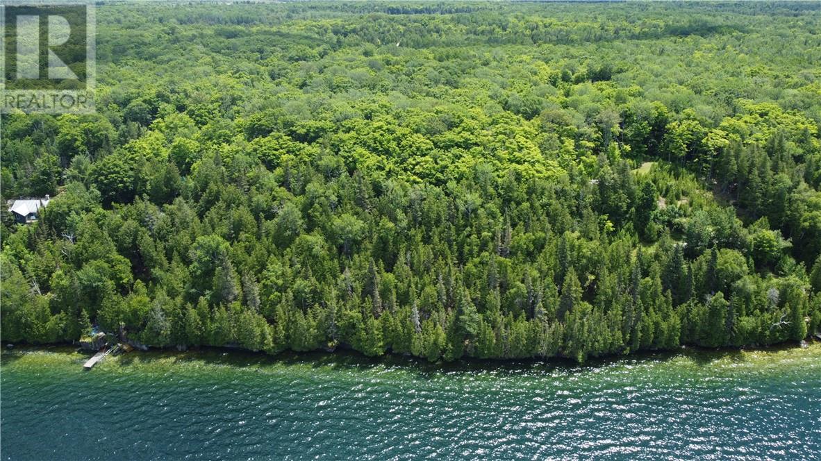 1580 Perivale, Mindemoya, Ontario  P0P 2B0 - Photo 10 - 2127268