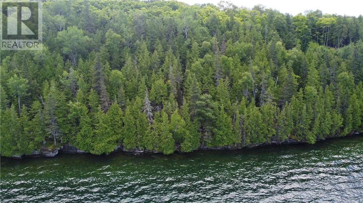 1580 Perivale, Mindemoya, Ontario  P0P 2B0 - Photo 11 - 2127268