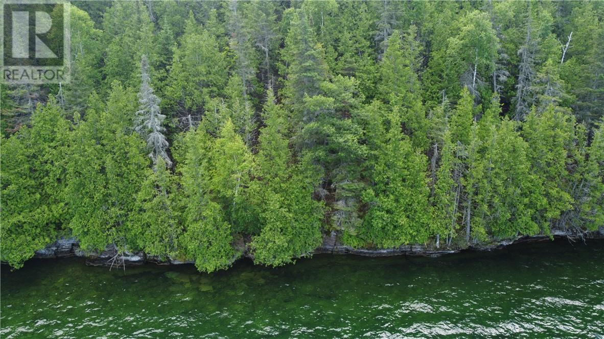 1580 Perivale, Mindemoya, Ontario  P0P 2B0 - Photo 14 - 2127268