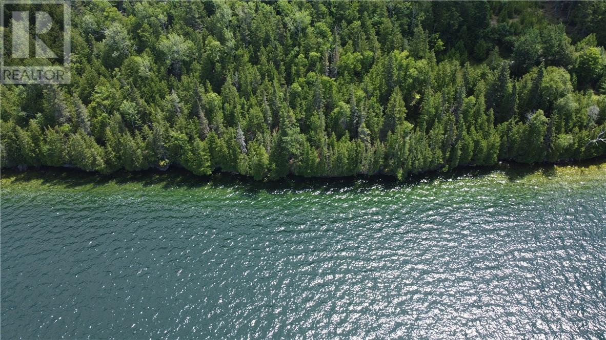 1580 Perivale, Mindemoya, Ontario  P0P 2B0 - Photo 19 - 2127268