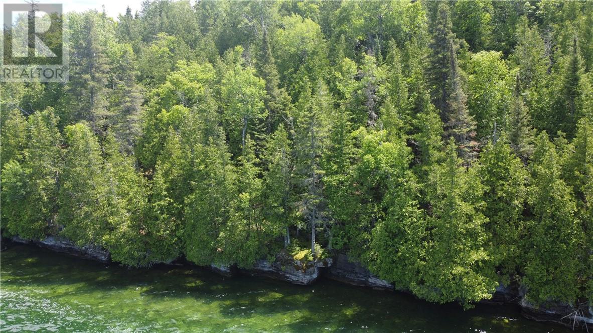 1580 Perivale, Mindemoya, Ontario  P0P 2B0 - Photo 22 - 2127268