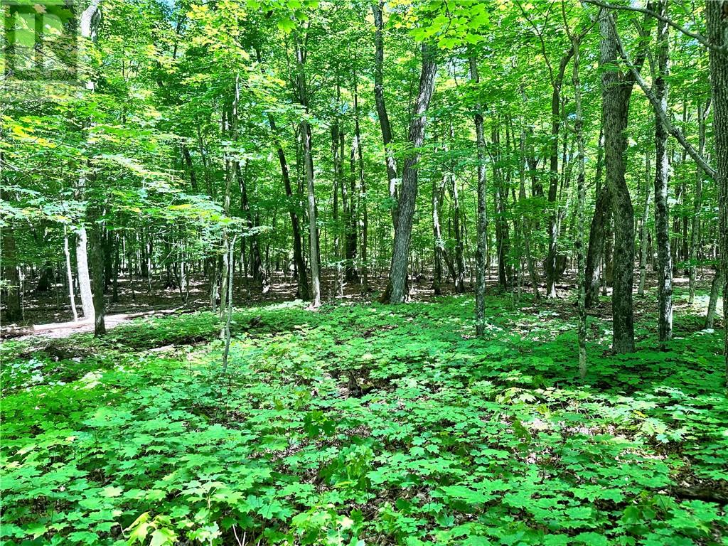 1580 Perivale, Mindemoya, Ontario  P0P 2B0 - Photo 29 - 2127268