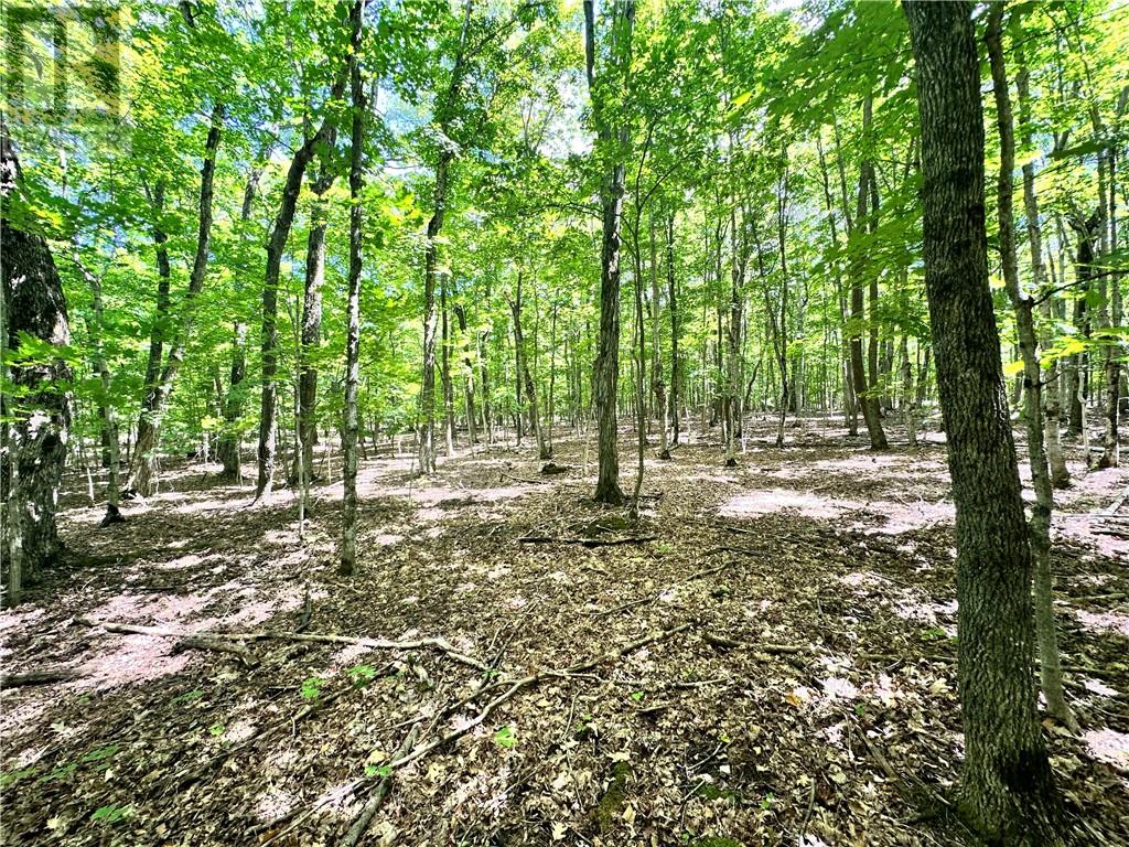 1580 Perivale, Mindemoya, Ontario  P0P 2B0 - Photo 31 - 2127268