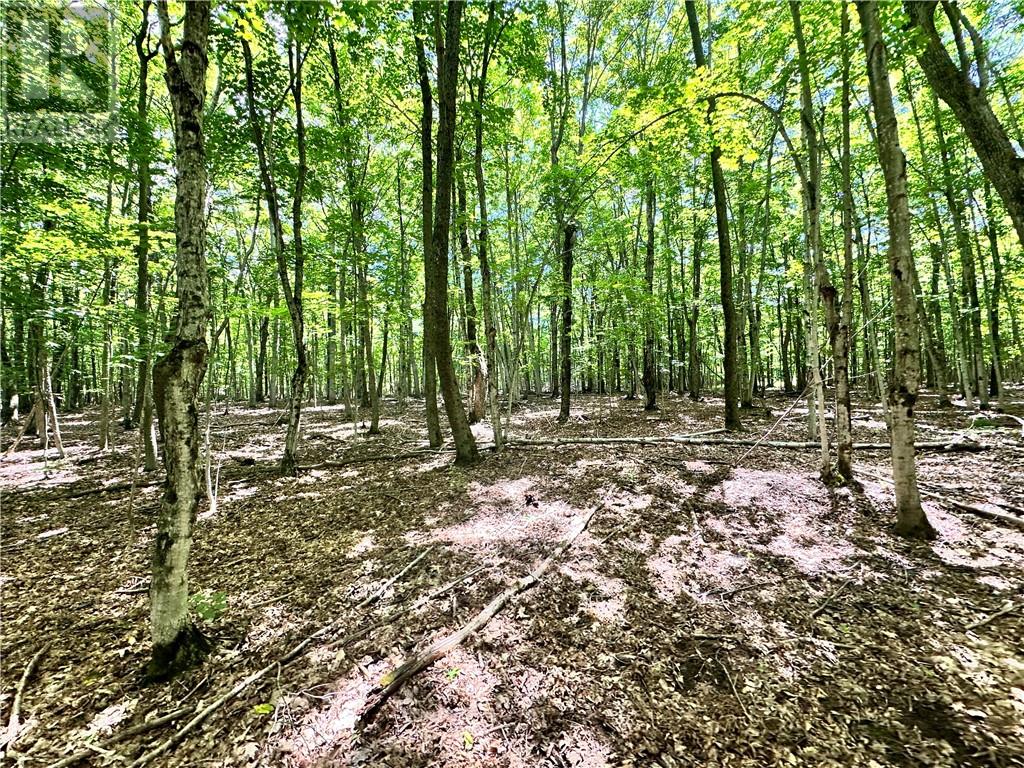 1580 Perivale, Mindemoya, Ontario  P0P 2B0 - Photo 32 - 2127268