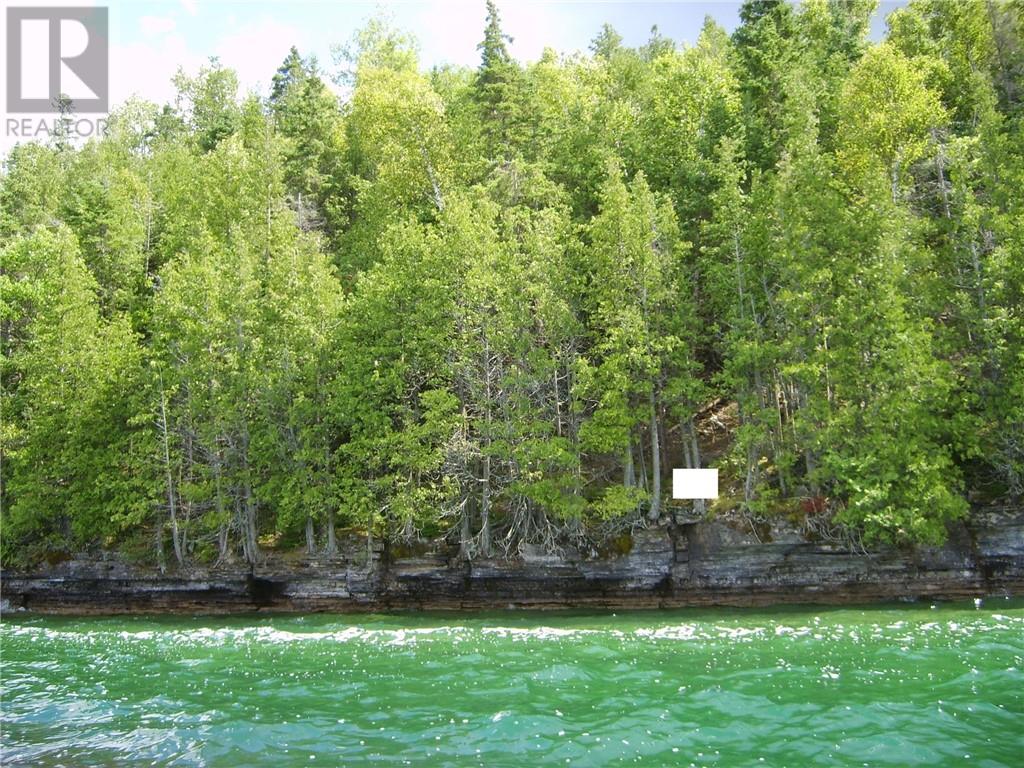 1580 Perivale, Mindemoya, Ontario  P0P 2B0 - Photo 5 - 2127268