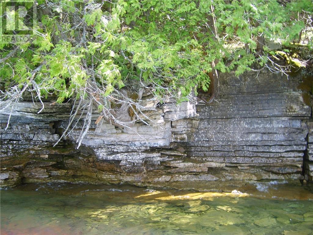 1580 Perivale, Mindemoya, Ontario  P0P 2B0 - Photo 7 - 2127268