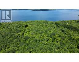 1580 Perivale, Mindemoya, Ontario