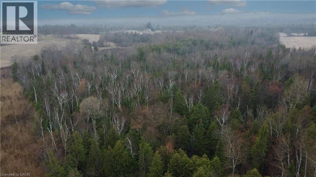 5489 Fourth Line, Erin, Ontario  N0B 1Z0 - Photo 8 - 40822016