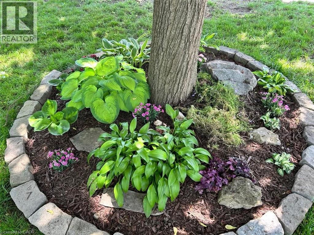 218 Blair Road, Cambridge, Ontario  N1S 2J8 - Photo 32 - 40822653