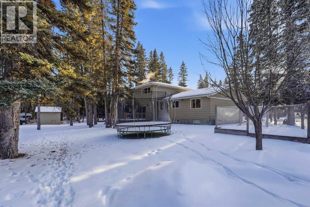 38 Wolf Drive, Rural Rocky View County, Alberta  T3Z 1A3 - Photo 43 - A2299746