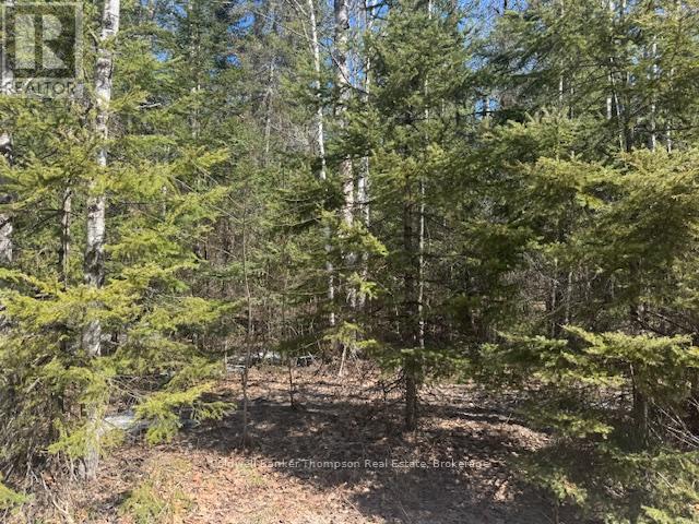 0 Highway 518 Highway, Kearney, Ontario  P0A 1M0 - Photo 3 - X12765560