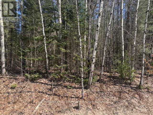 0 Highway 518 Highway, Kearney, Ontario  P0A 1M0 - Photo 4 - X12765560