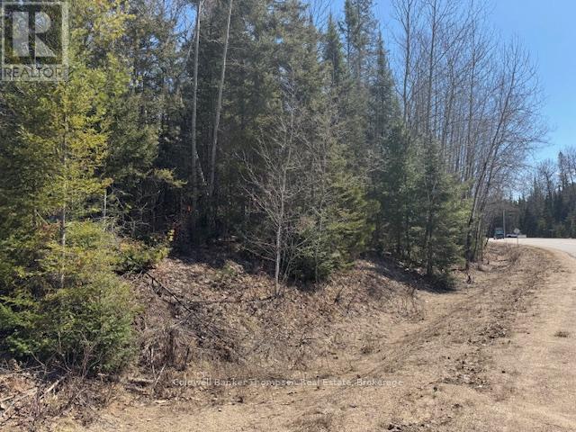 0 Highway 518 Highway, Kearney, Ontario  P0A 1M0 - Photo 5 - X12765560