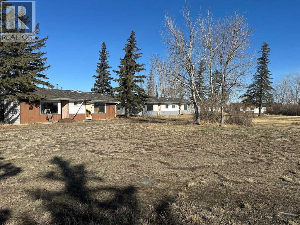 1002 5 Avenue, Bassano, Alberta  T0J 0B0 - Photo 4 - A2301589