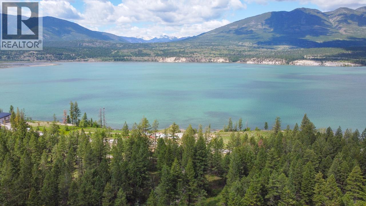 8785 Grainger Road, Canal Flats, British Columbia  V0B 1B0 - Photo 3 - 10384285