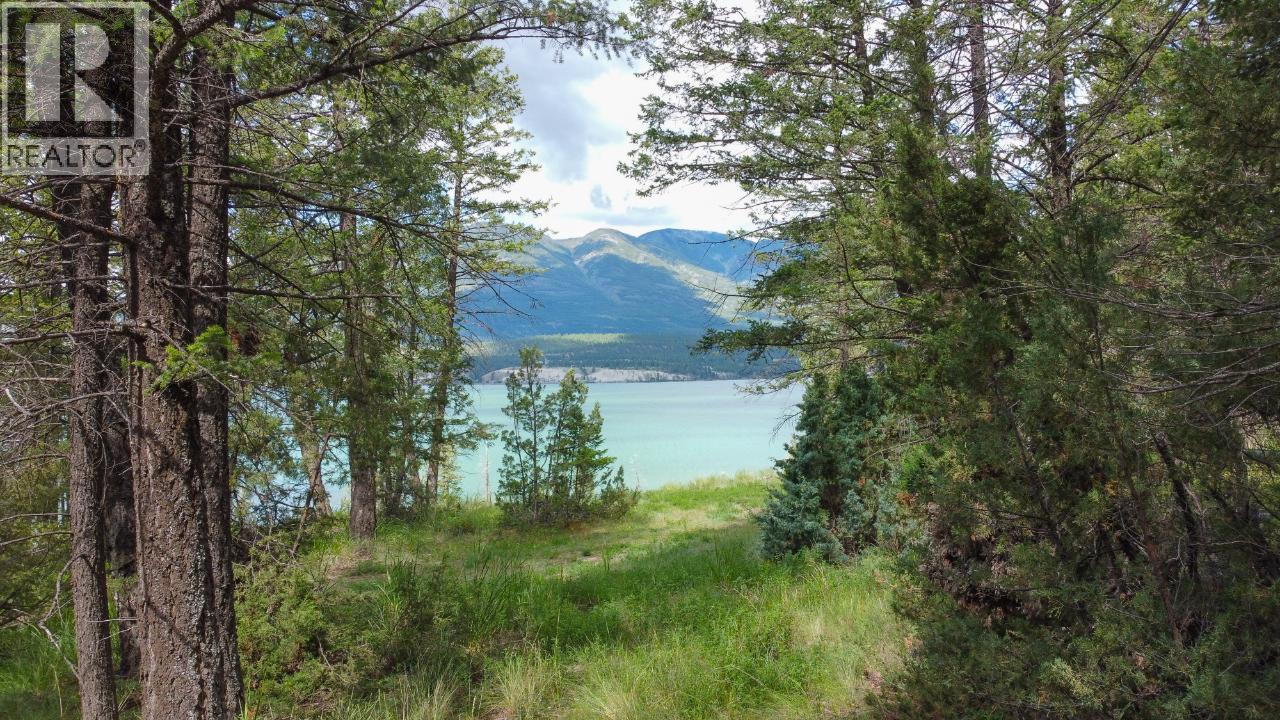 8785 Grainger Road, Canal Flats, British Columbia  V0B 1B0 - Photo 5 - 10384285