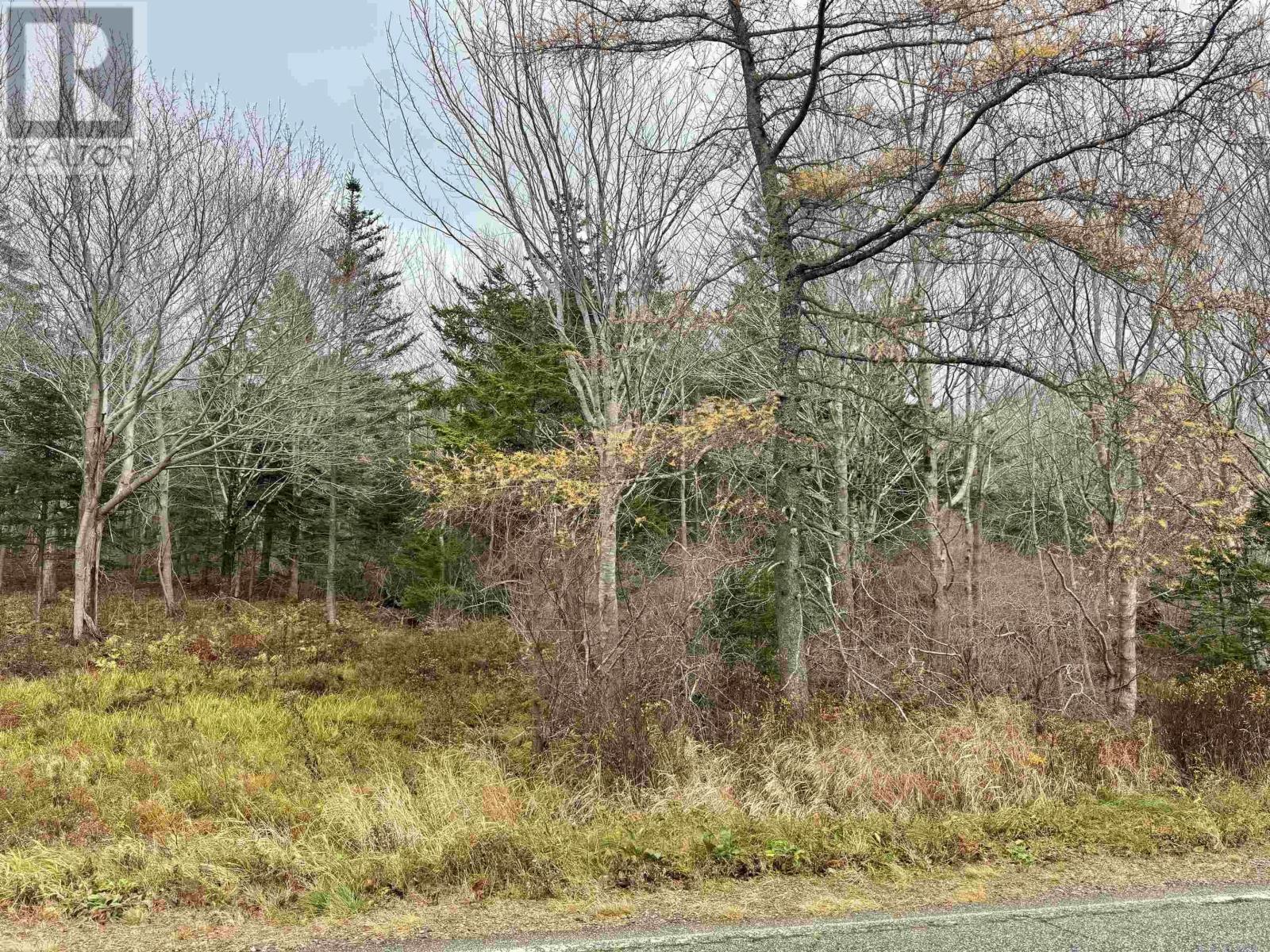 No 340 Highway, Weymouth, Nova Scotia  B0W 3T0 - Photo 1 - 202426690