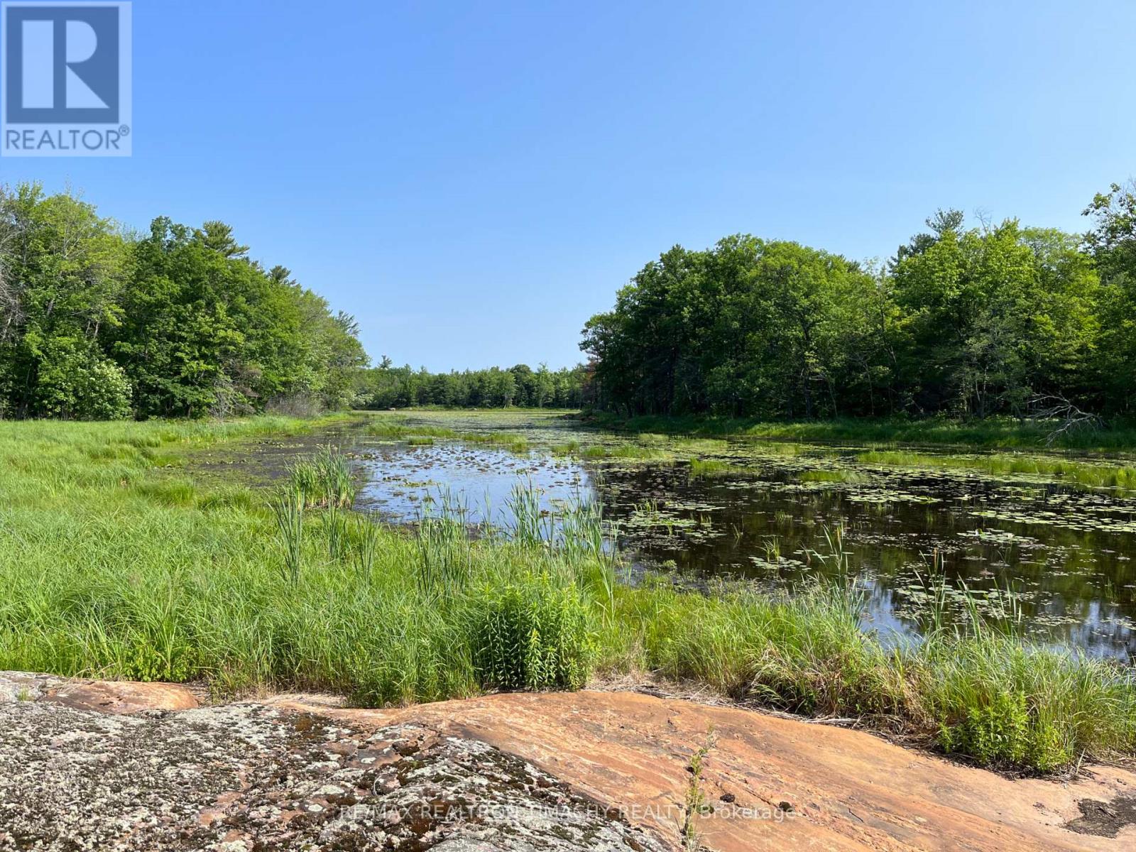 243 Prisque Road, Georgian Bay, Ontario  L0K 1S0 - Photo 11 - X13030780