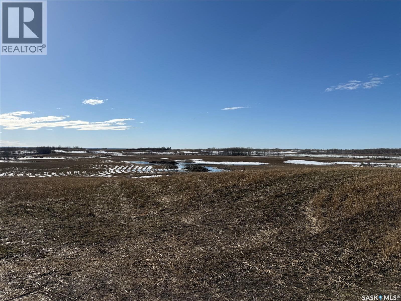 NE 02-50-10-W3 - Hay/pasture Land, Spiritwood Rm No. 496, Saskatchewan  S0J 2M0 - Photo 6 - SK029872