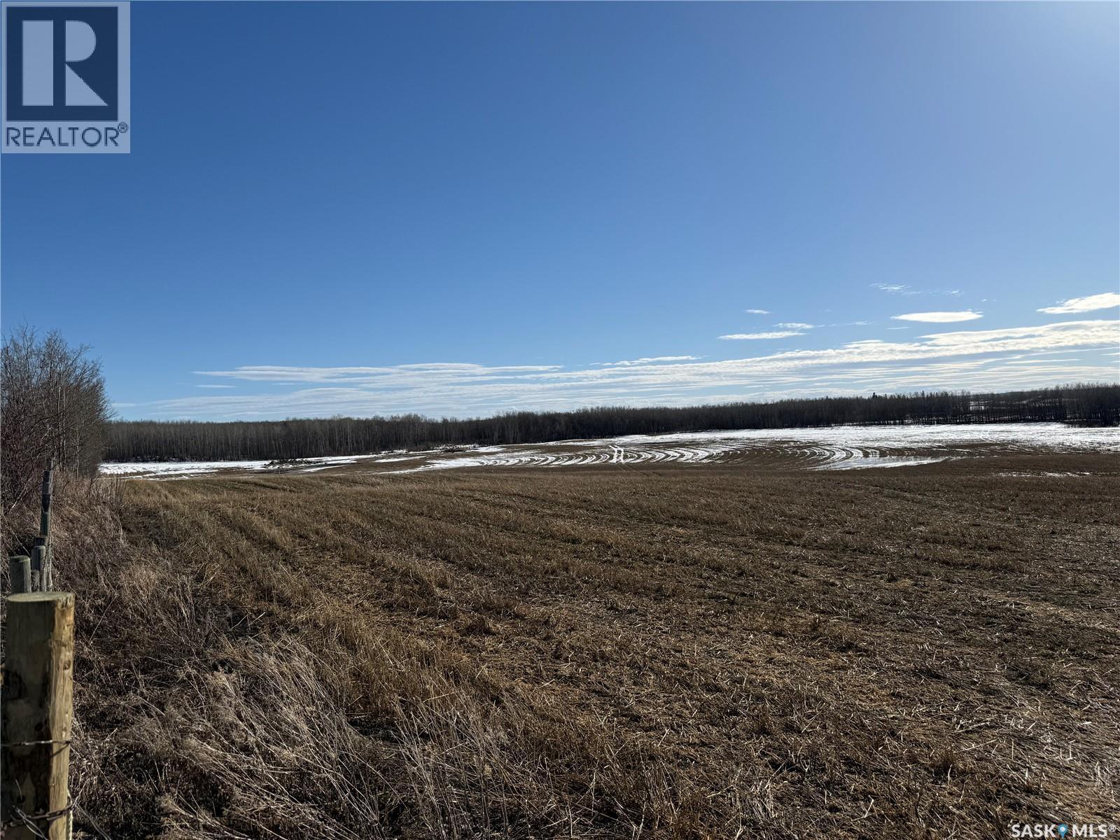 NE 02-50-10-W3 - Hay/pasture Land, Spiritwood Rm No. 496, Saskatchewan  S0J 2M0 - Photo 5 - SK029872