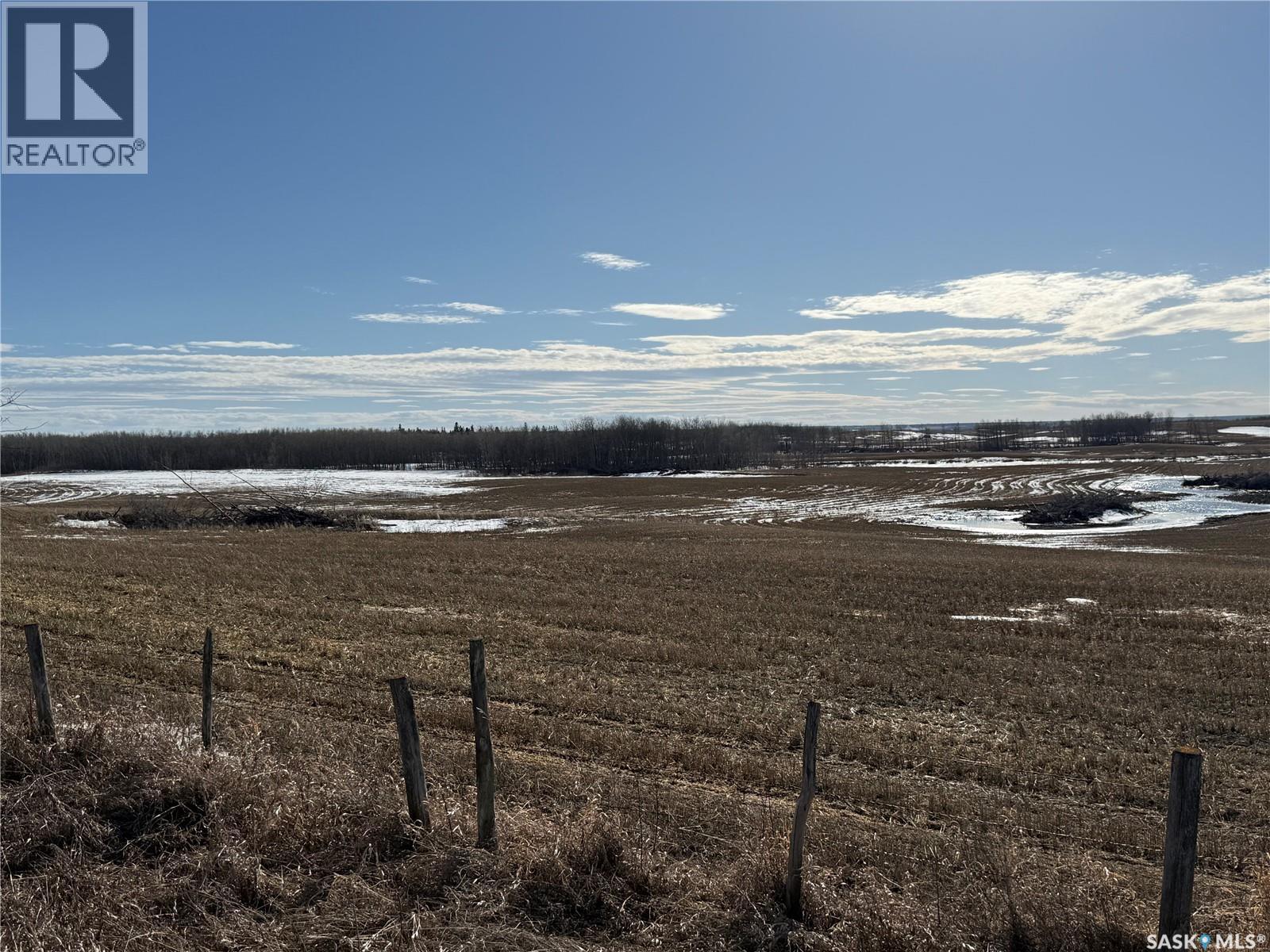 NE 02-50-10-W3 - Hay/pasture Land, Spiritwood Rm No. 496, Saskatchewan  S0J 2M0 - Photo 8 - SK029872