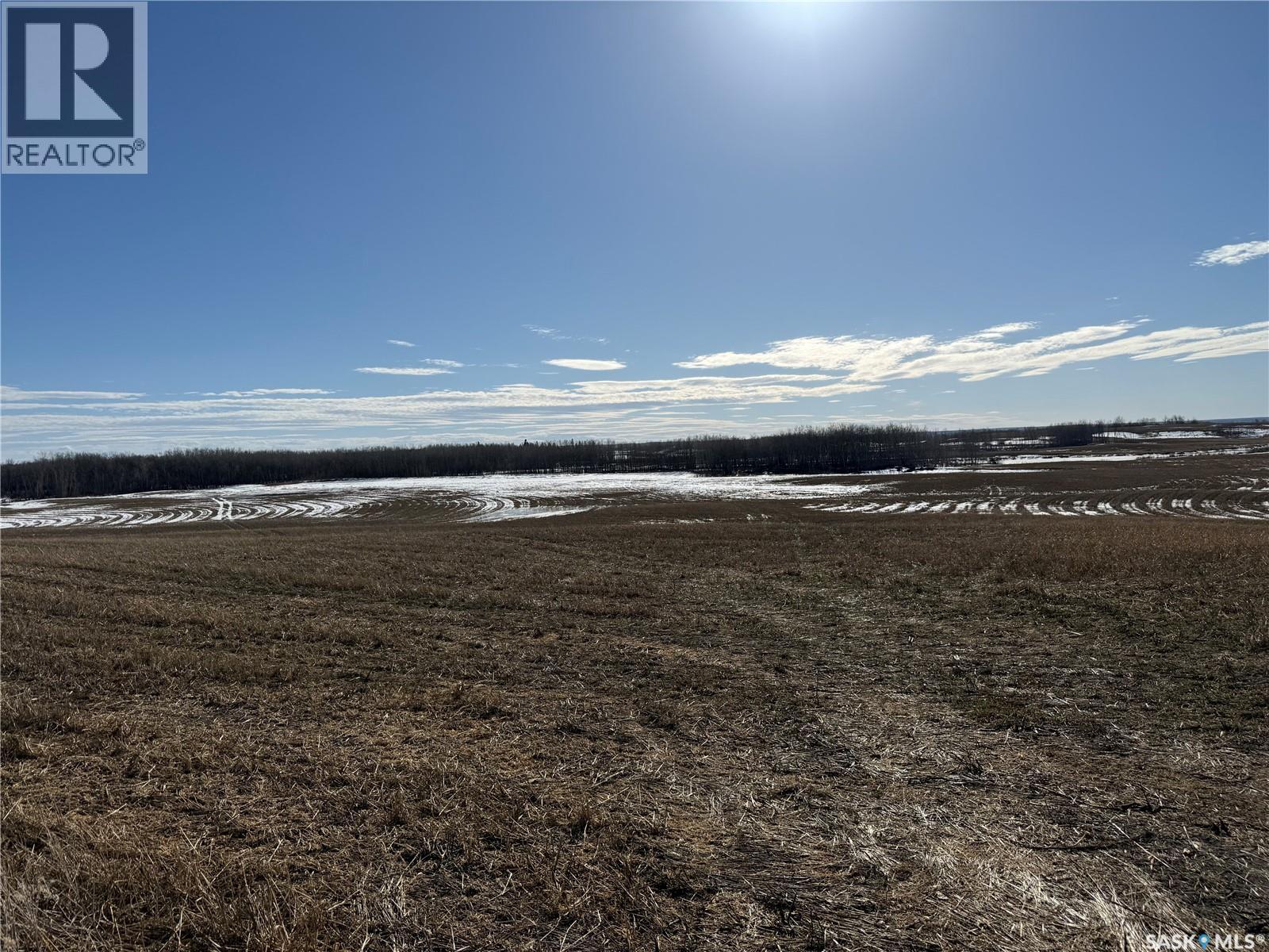 NE 02-50-10-W3 - Hay/pasture Land, Spiritwood Rm No. 496, Saskatchewan  S0J 2M0 - Photo 4 - SK029872