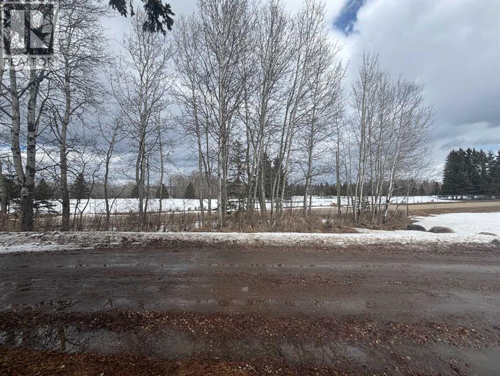 59 Harolds Hollow, Whitecourt, Alberta  t7s 1c3 - Photo 41 - A2302913