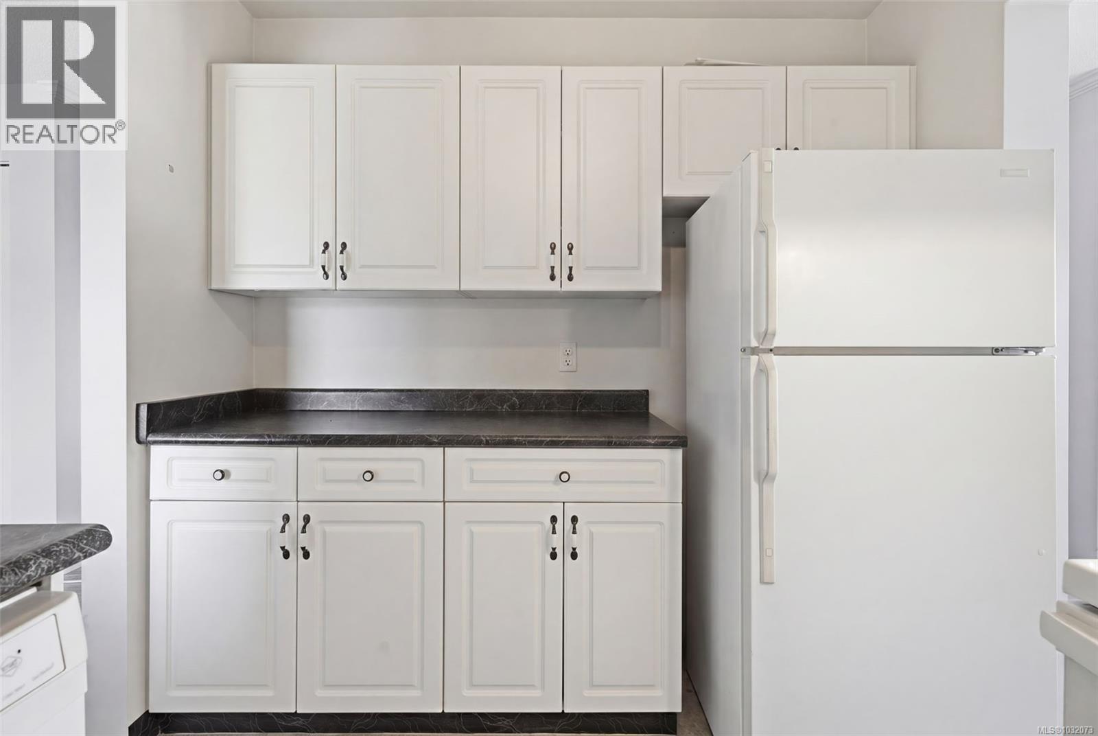 308 103 Gorge Rd E, Victoria, British Columbia  V9A 6Z2 - Photo 10 - 1032073