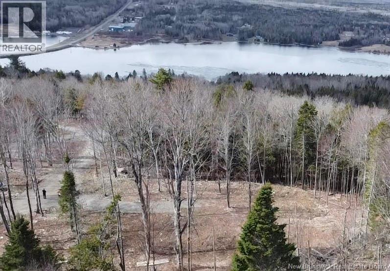 Lot 616 Route, Keswick Ridge, New Brunswick  E6L 1R9 - Photo 3 - NB136819