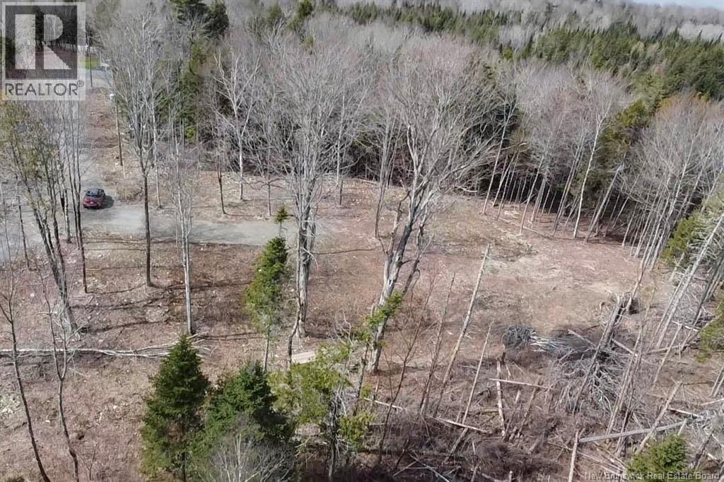 Lot 616 Route, Keswick Ridge, New Brunswick  E6L 1R9 - Photo 5 - NB136819